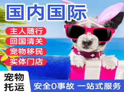 果洛玛沁机场快递国际宠物托运 【国
